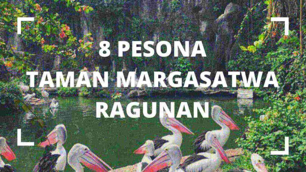 Taman Margasatwa Ragunan Jakarta - Altha Rent