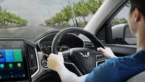 driver ramah