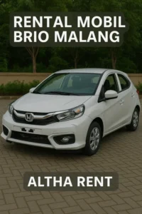 rental mobil brio Bogor