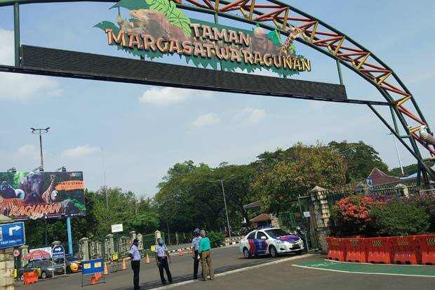 Pesona wisata Taman Margasatwa Ragunan Jakarta