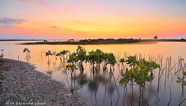 pantai tirangan demak