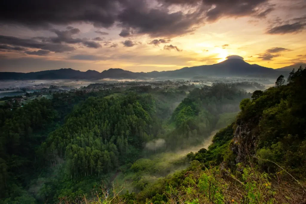 Taman Hutan Raya Ir. H. Djuanda