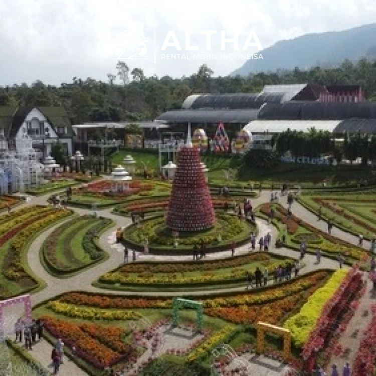 Taman Bunga Celosia