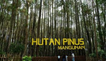 Hutan Pinus Mangunan