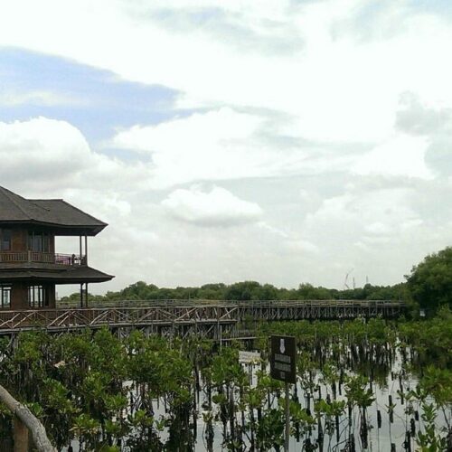 Taman Wisata Alam Mangrove Angke Kapuk